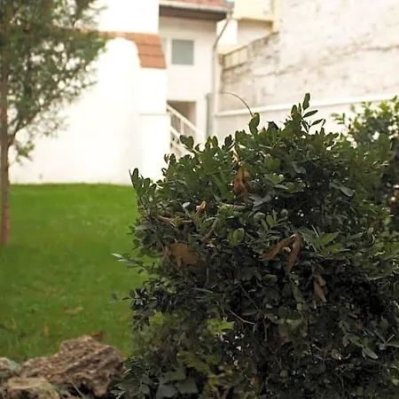 Garden House 2*